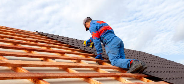 Best Rubber Roofing (EPDM, TPO)  in Charlottesville, VA